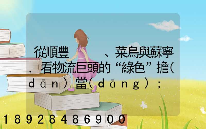 從順豐、菜鳥與蘇寧,看物流巨頭的“綠色”擔(dān)當(dāng)